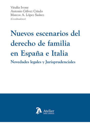 Libro Nuevos Escenarios Del Derecho De Familia En Espaã¿a...