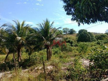 Chácara À Venda, 21163 M² Por R$ 110.000 - São José (cabuçu) - Itaboraí/rj - Ch0004