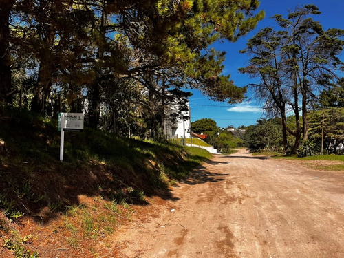 Imagen 2 de 11 de Cod 388 Lote Multifamiliar / Hotelero
