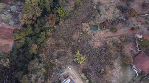 Imagem 10 de 12 de Terreno Para Chácara Ou Loteamento