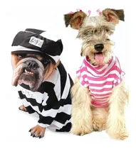 Comprar Kit Moldes Patrones Ropa Accesorios Camas De Perros Gatos