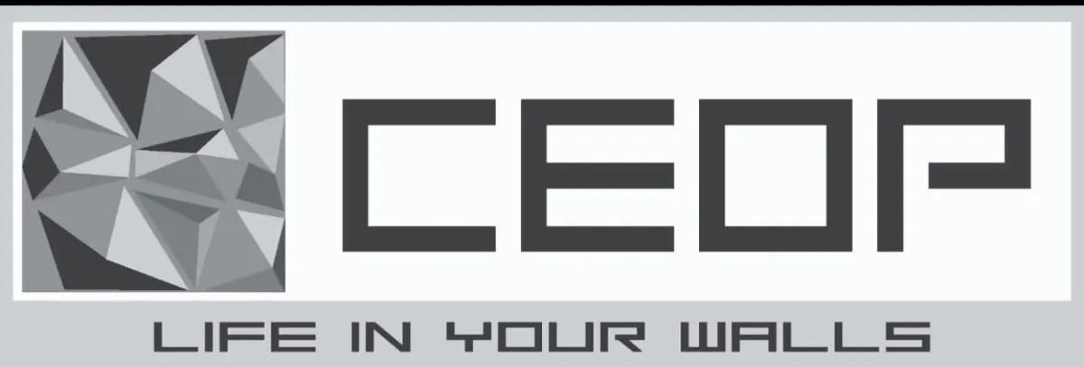 CEOP PANELES 3D