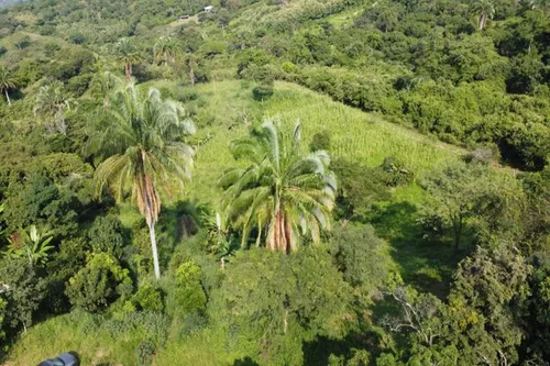 Lote En Venta En Anapoima. Cod V7450