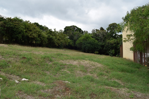 Imagen 12 de 14 de Lote Plano De 878 M2, 400m Al Este Del Lagar En San Isidro