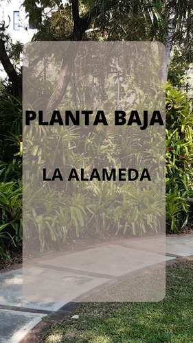 Agradable Planta Baja En Venta Con Jardín, Terraza Techada Y Área Para Parrilla, La Alameda. Apartamento