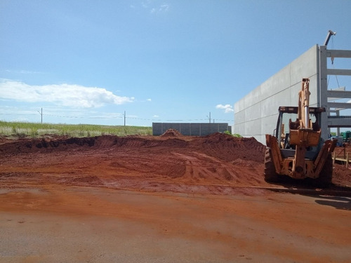 Imagem 8 de 10 de Terreno - Te00241 - 69321133