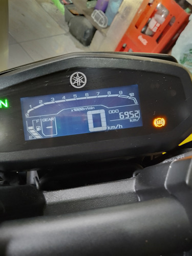 Fz15