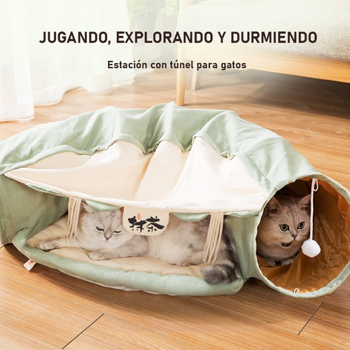 Túnel Plegable Con Cama Y Hamaca Para Gato