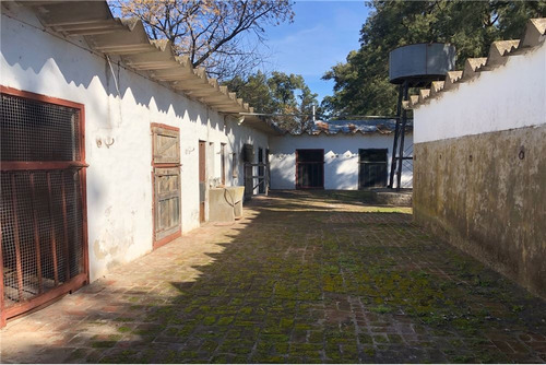 Imagen 18 de 21 de Venta Campo De 195 Ha. En Manzanares Pilar - Único