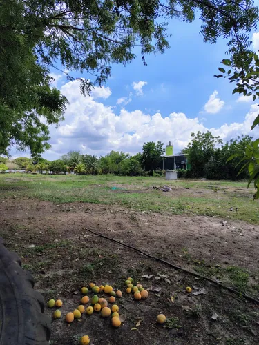 Lote De 5000m2 Santo Tomas (cm&d142).