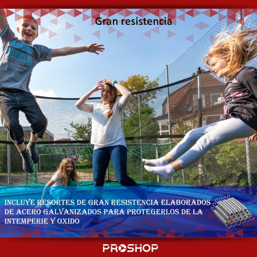 Cama Elastica 2,44 Metros Diametro Saltarina Red Protectora