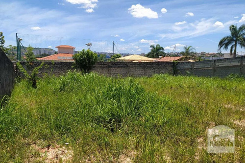 Imagem 10 de 10 de Lote À Venda No Bandeirantes - Código 278049 - 278049