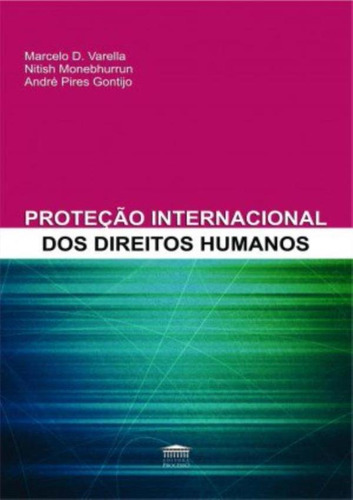 Protecao Internacional Dos Direitos Humanos: Protecao Internacional Dos Direitos Humanos, De Gontijo,andre Pires. Editora Processo, Capa Mole, Edição 1 Em Português, 2019