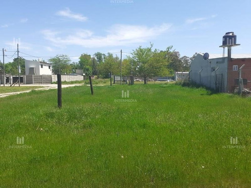 Imagen 3 de 7 de Terreno Lote En Venta Ubicado En San Vicente, San Vicente