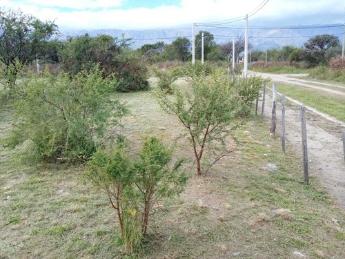 Terreno - Merlo San Luis