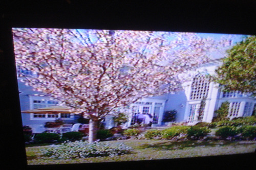 Vhs Las Mujeres Perfectas ( The Stepford Wives, 2004) (Usado)