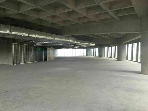Imagen 5 de 6 de Renta - Oficina - Punto Polanco - 565 M2