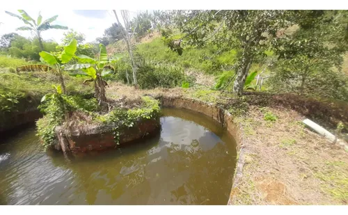 Se Vende Finca Vda La Julia Montenegro Quindío