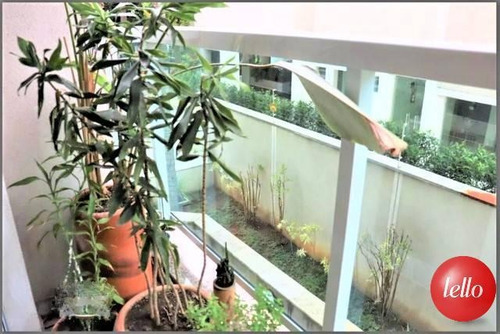 Imagem 8 de 26 de Apartamento - Ref: 229161