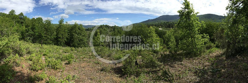 Sitio En Venta En Curicó