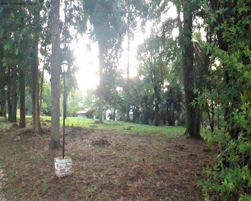 Imagem 5 de 6 de Terreno - Te00026 - 70794643
