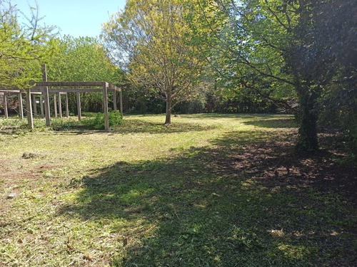 Imagen 5 de 6 de Terreno En Venta En Pereyra