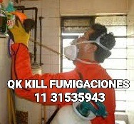   Fumigaciones Cucarachas Ratas Zona Sur Y Caba Certificados