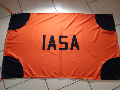 Bandera De Iasa Sudamérica. Medidas Aprobadas Por Auf
