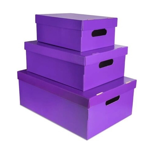 Caja Organizadora Lisa Plastificada Med 39x30x15 X Unidad