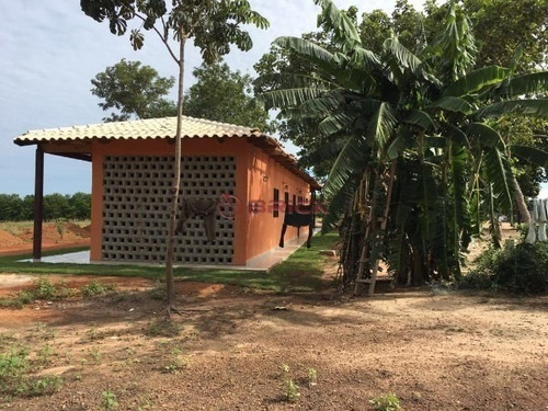 Imagem 11 de 11 de Fazenda Para Soja + Pivô Em Santa Rosa ,tocantins, Com 945 Hectares . - Fa00045 - 70338076