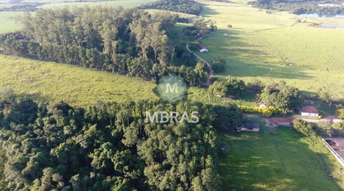 Imagem 3 de 13 de Fazenda - Salto - Mb8804