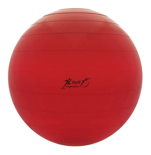 Imagen 2 de 10 de Pelota Pilates 70 Cm 900gr Reforzada Yoga Esferodinamia Gym