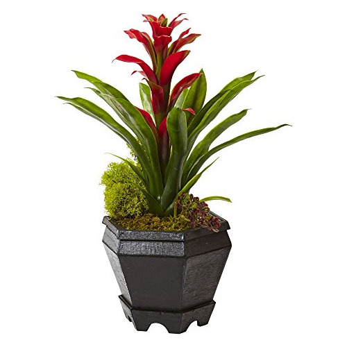 Bromelia 6927-rd Casi Natural En Maceta Hexagonal Negra