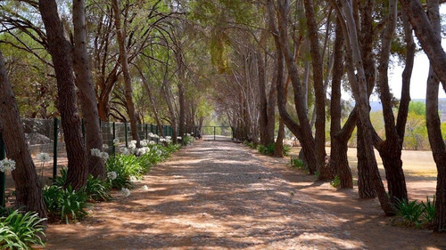 Terreno En Venta En San Miguel De Allende | Exclusividad Y Naturaleza