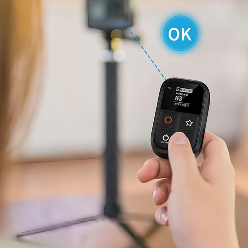 Mando a distancia LCD Gopro Hero 8,9,10 y Max - Telesin