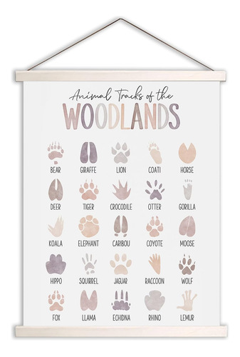 Tiuran Woodland Tracks - Poster Colgante De Pistas De Bosque