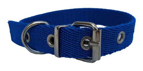 Collar Perro Clasico Soldado Cinta Polipropileno 2cm X 45cm