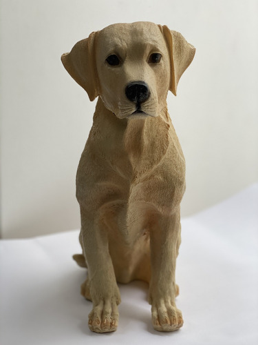 Hermosa Urna Funeraria Cenizas Perro Labrador Miel C/envío 