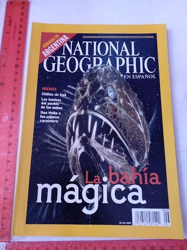 Revista National Geographic No 6 Junio De 2004 (Usado)