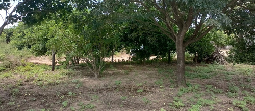 Vendo Lote De 720 Mt2, Altura Km. 15 Doble Vía A La Guardia, (en Santa Cruz)