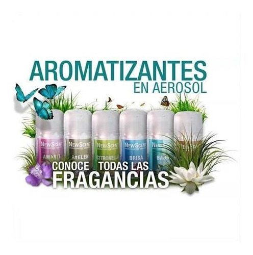 24 X Aerosol Fragancia Repuesto Newscent Aromatizador