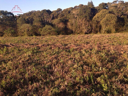 Imagem 5 de 8 de Terreno À Venda, 20000 M² Por R$ 450.000,00 - Areia Branca - Mandirituba/pr - Te0139