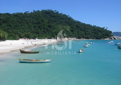 Imagem 11 de 14 de Terreno Para Vender No Campeche, Viabilidade, Florianópolis - 3336