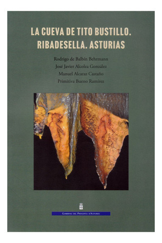 Cueva De Tito Bustillo. Ribadesella. Asturias, La, De Vv.aa.. Editorial Impronta, Tapa Blanda En Español