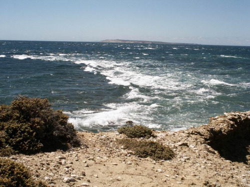 Inmobiliaria Comodoro - Peninsula Valdés - Refugio De Vida Silvestre - Permutas