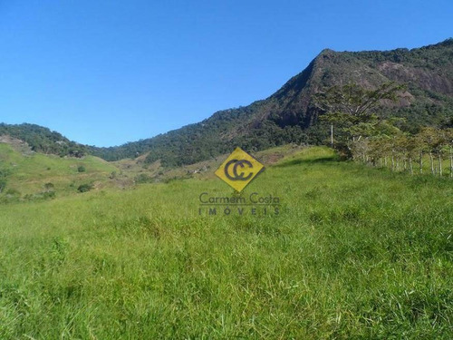Imagem 7 de 8 de Chácara Com 3 Dormitórios À Venda, 1016400 M² Por R$ 1.350.000,00 - Centro - Conceição De Macabu/rj - Ch0010
