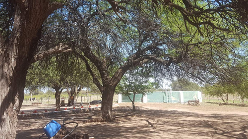 Campo En Venta Villa Quilino - Campo Ganadero Con 2 Casas