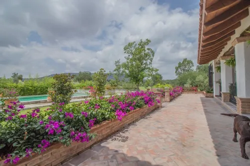 Rancho Morera En Venta, Carretera A Dolores Hidalgo, San Miguel De Allende