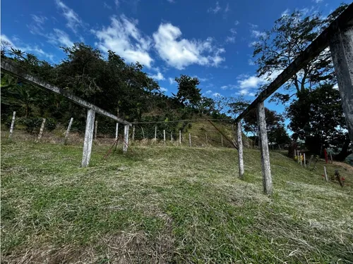 Se Vende Finca En Barragán