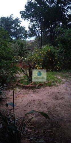 Imagem 17 de 30 de Chácara No Recanto Das Colinas Verde - Ch0043